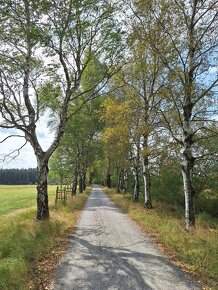 Pronájem chalupy Vysočina - 18