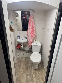 Ubytovací apartmán ul. Pražská v Mladé Boleslavi - 18