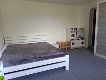 Prodej rodinného domu v obci Břilice u Třeboně - 18