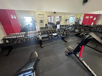 PRODEJ KOMPLETNÍHO FITNESS VYBAVENÍ - TOP STAV - 18