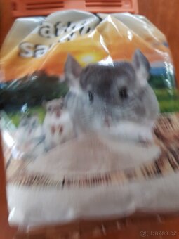 Osmák degu - 18