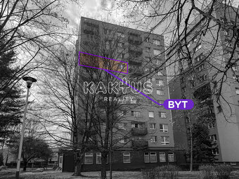 Prodej dr. bytu 3+1, ulice Gen. Janka, Mariánské hory - 18