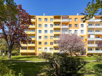 Prodej bytu  3+1 (63 m2) s prostorným balkónem, os. vlastnic - 18