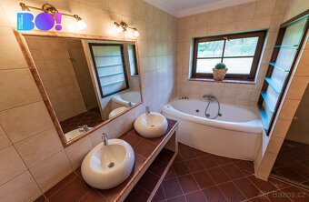 Prodej nadstandardní vily, Křenov u Kájova, okr. Český Kruml - 18