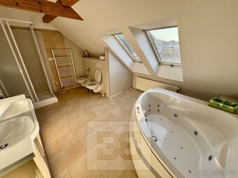 Pronájem byty 4+kk, 195 m² - Velké Opatovice, ev.č. N08297 - 18