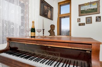 Prodej jedinečné historické vily ve Vranově nad Dyjí - 18