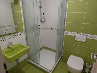 Prodej RD 5+1 Rajhrad u Brna, klimatizace, bazén - 18