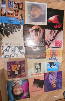 Prodám větší množství LP desek - 18