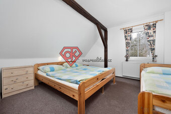 PRODEJ  - penzion Hanka v Orličkách - 18