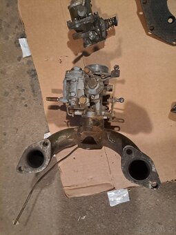 Felicia octavia spartak veterán - 18