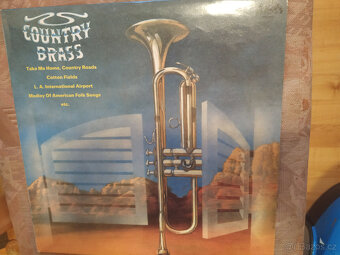 Instrumentální, romantické, country - 18