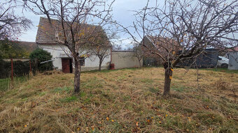 Prodej dvou rodinných domů - Jaroměřice nad Rokytnou - 18