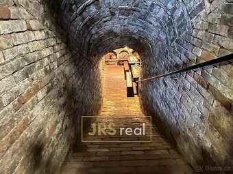 Prodej penzionu s CP 250 m²  v Bořeticích na  Kraví hoře - 18