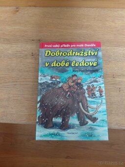 Prodám dětské knihy kus za 50,- Kč - 18