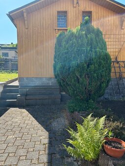 Dům v Německu SLEVA - 18