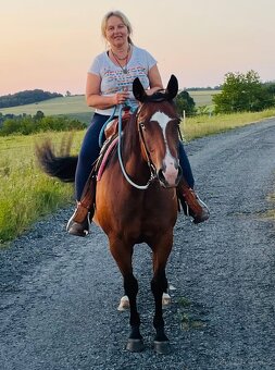 Klisna QH 2 roky - 18