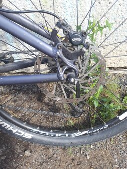 MTB/DIRT PELLIS ROOT - 18