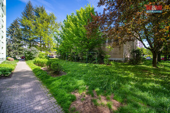 Prodej restaurace, stravování, 300 m², Ústí nad Orlicí - 18