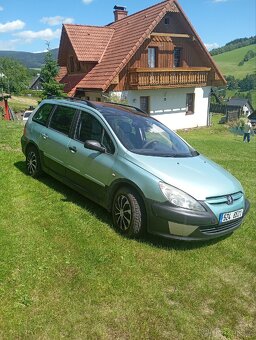 Peugeot 307 sw - 18