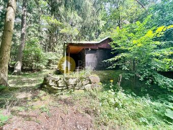Pronájem chaty u potoka - Smiradice, Strakonice - 18