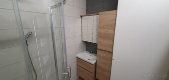 Pronájem bytu 2+1 50m2 ul. Plamínkové, Pankrác - 18