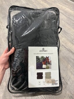 Kentucky, Lemieux, Zandona atd - 18