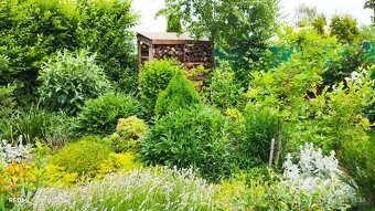 Chata se zahradou - 18