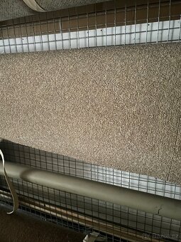 Prodej kobercu a lina m2 za 60 Kč - 18