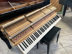 Křídlo Boston - STEINWAY & SONS se zárukou 2 roky. REZERVACE - 18