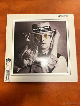 Sbírka LP Desek - 18