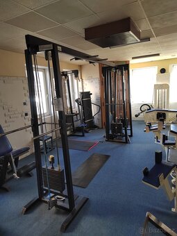 CELÁ POSILOVNA, STROJE, ČINKY - 18