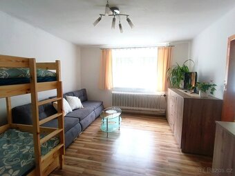 UBYTOVÁNÍ - JIŽNÍ ČECHY - Chalupa U Aničky - Milejovice - 18