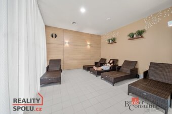 Prodej, byty/3+kk, 75.7 m2, 51761 Říčky v Orlických horách,  - 18