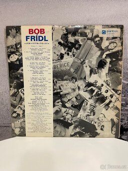 Gramofonové desky č.2 cena za 1 kus - 18