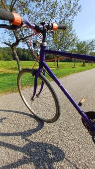 Kolo - 18