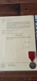 Medaile, vyznamenání, odznaky Německo. - 18