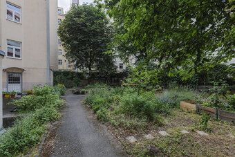 Pronájem bytu 2+1, 48 m² - Praha - Žižkov - 18