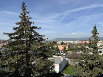 Prodej bytu 3+1 68 m2 - 18