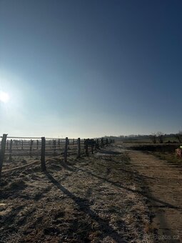 Ustájení koní - box - 18