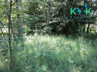Prodej pozemku o velikosti 3 489 m2, v OV, Tisová u Nejdku - 18
