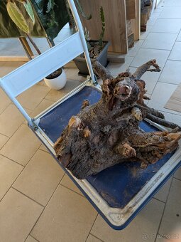 Prodám velmi dobře vybavenou dílnu na soustružení - 18