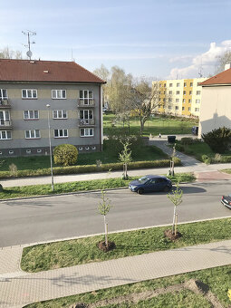 Prodej bytu 3+1 na žádané adrese - Pardubice, ulice Sezemick - 18