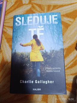 Prodám více knih - 18