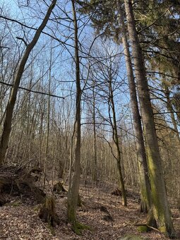 Prodám pozemky v katastrálním území Louňovice pod Blaníkem - 18