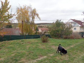 Prodám dům u Brna - 18