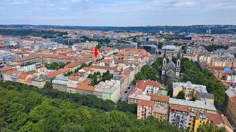 Pronájem bytu - Vítkova 197/11, Praha - Karlín - 18