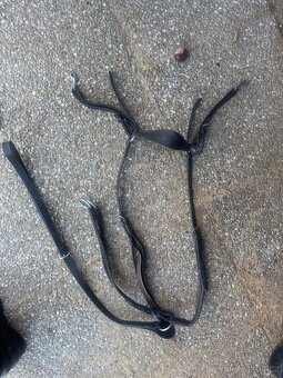 Animo, GLC, kentaur, sedlo drezurni... - 18