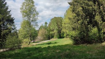 Prodej louky o celkové výměře 23 943 m2 nedaleko Frýdavy - 18