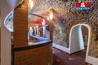 Prodej restaurace, stravování, 2100 m², Černotín - 18