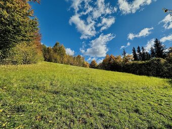 Prodej zemědělské usedlosti 37 686 m2 - 18